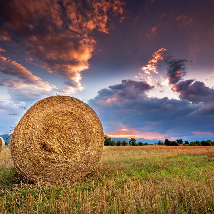  Hay bale